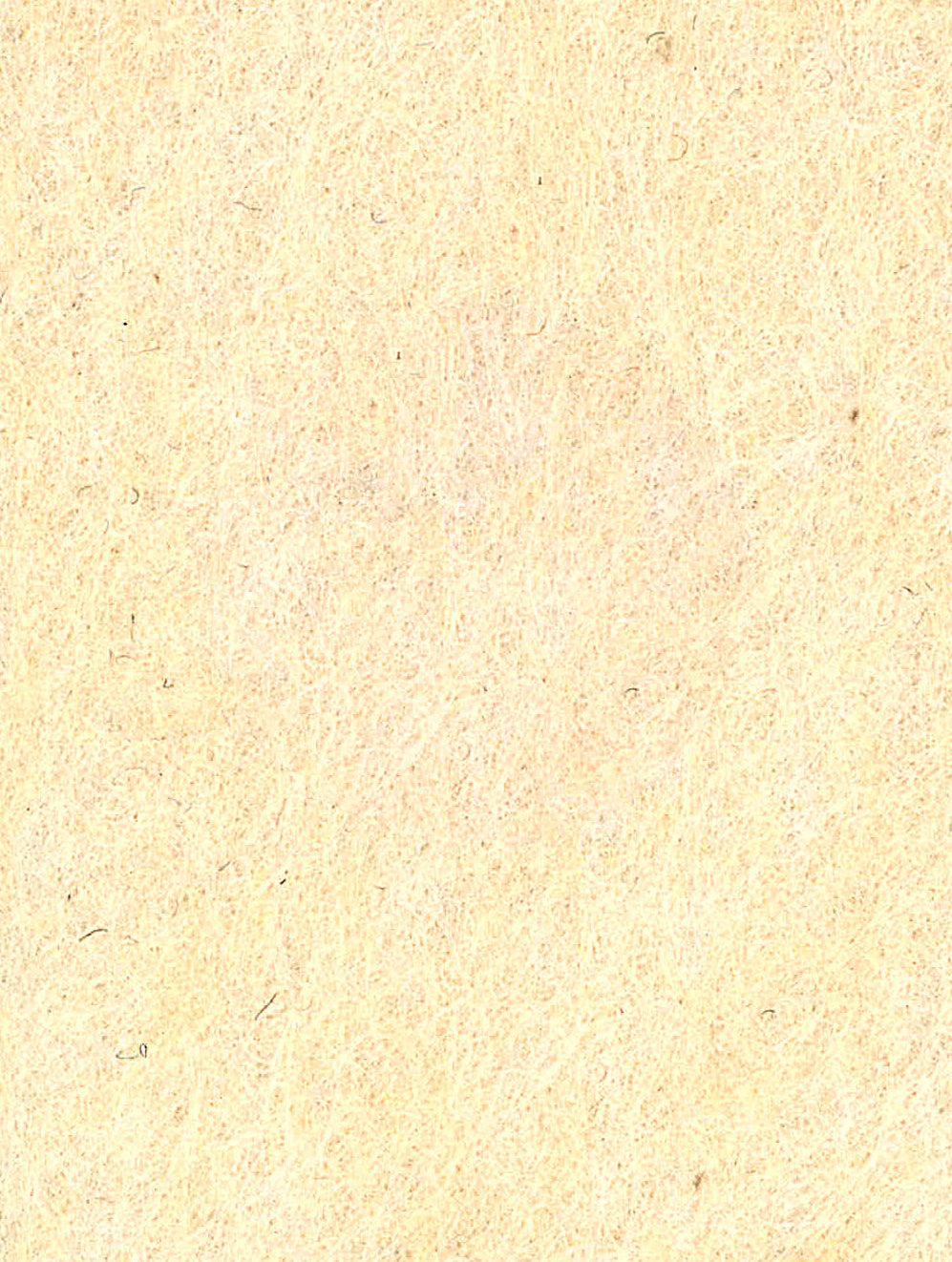 pet felt